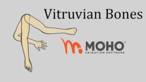 استخوانهای ویتروی (Vitruvian Bone) یا V-Bones در موهو ۱۴